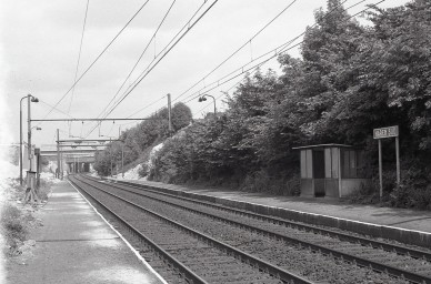 Haren-Sud - MZ19244.jpg